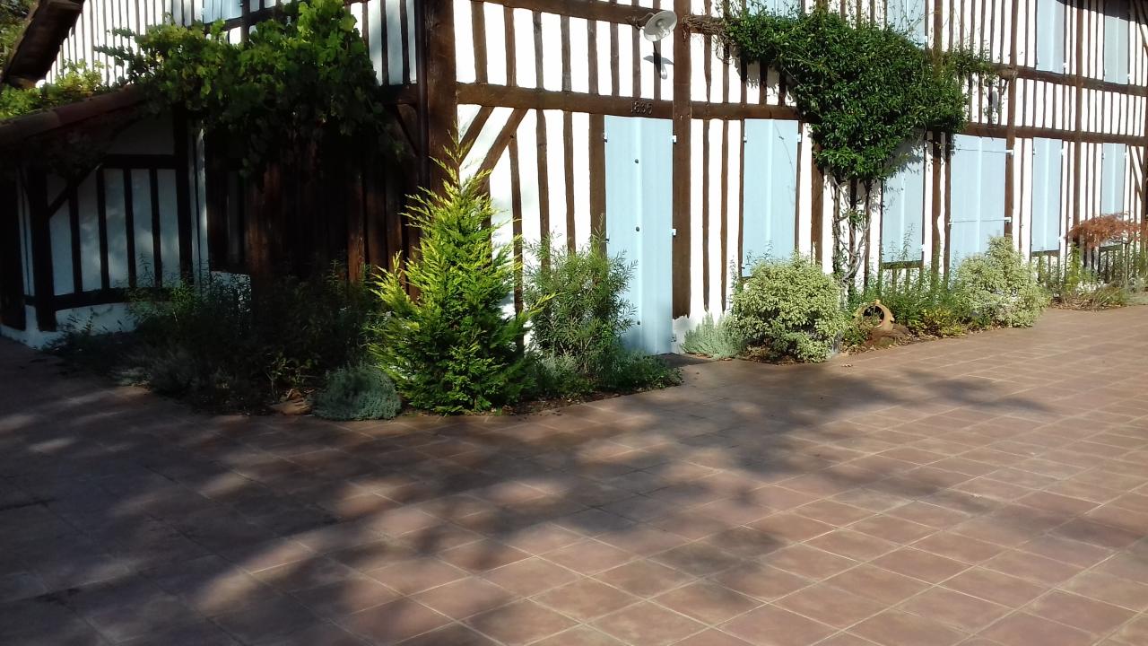 Plantations d'ornement sur plates bandes
