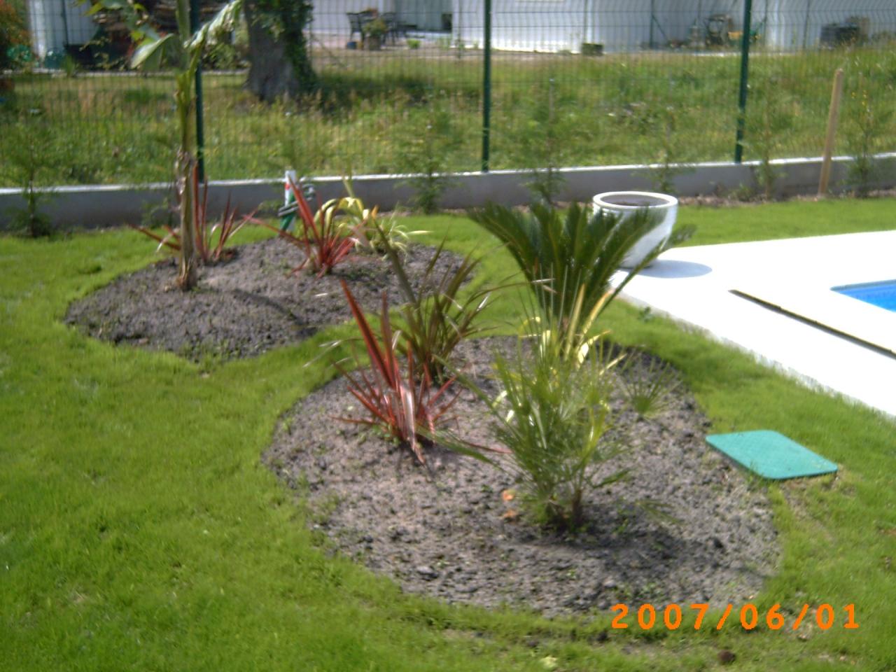 PICT0004