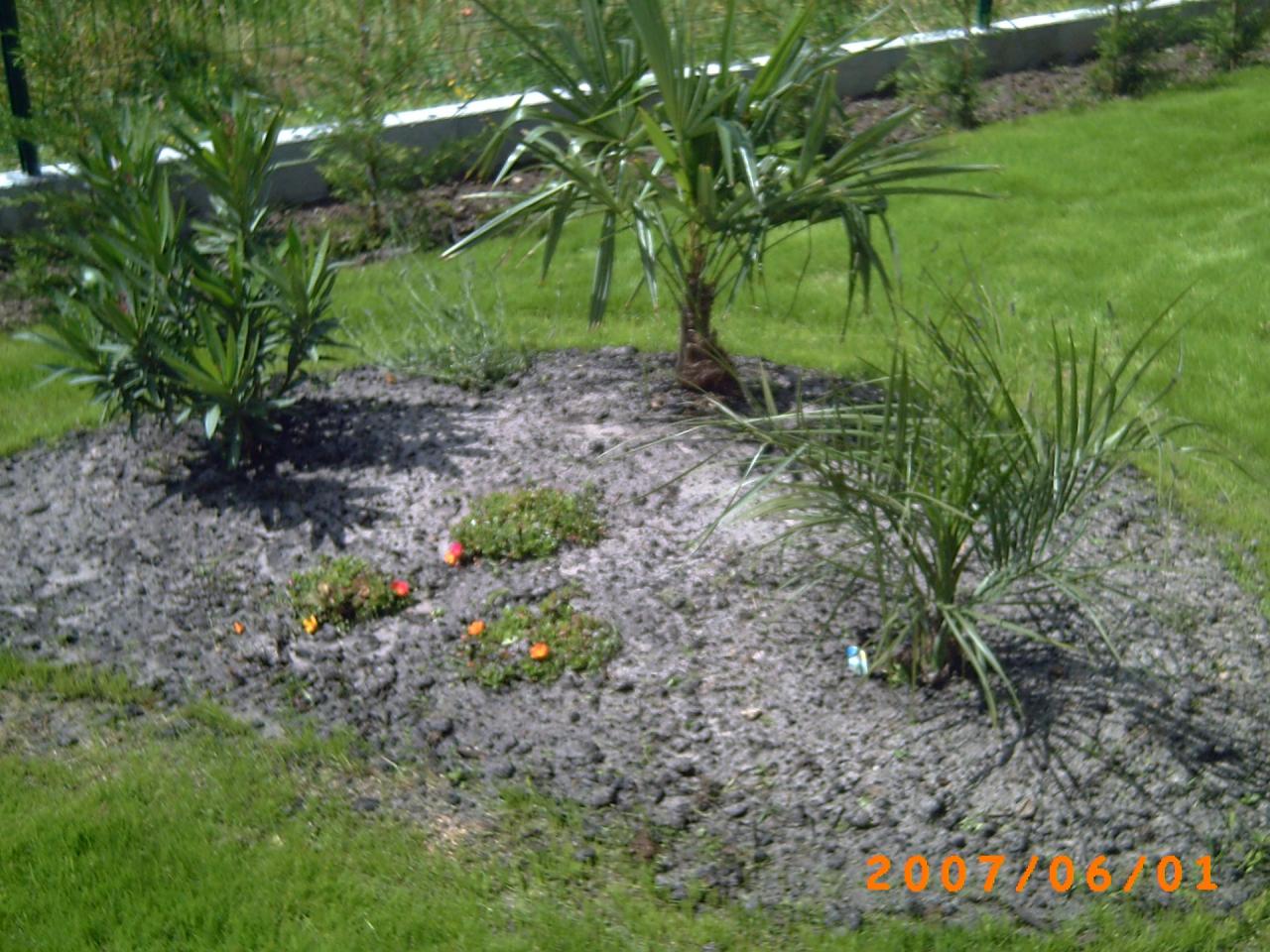 PICT0005