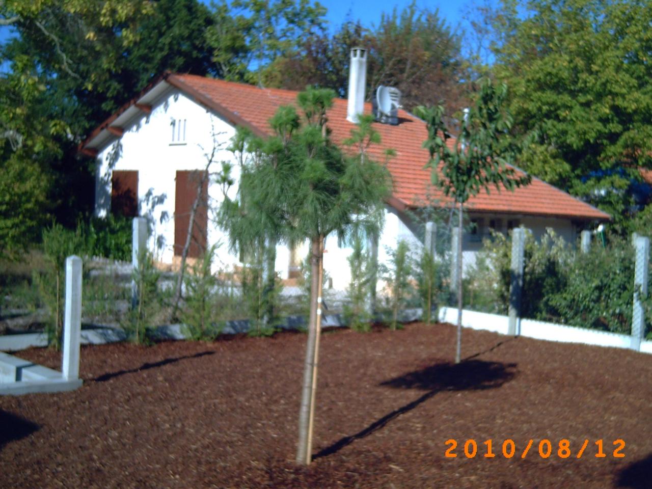 PICT0033 (2)