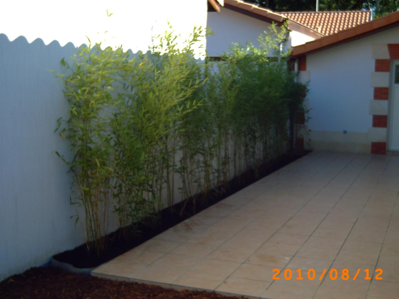 PICT0034 (2)